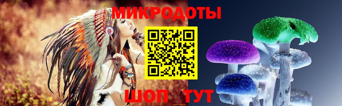 Псилоцибиновые грибы Psilocybe  Вход с VPN  магазин продажи   Кемерово 